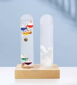 Dual Weather Station